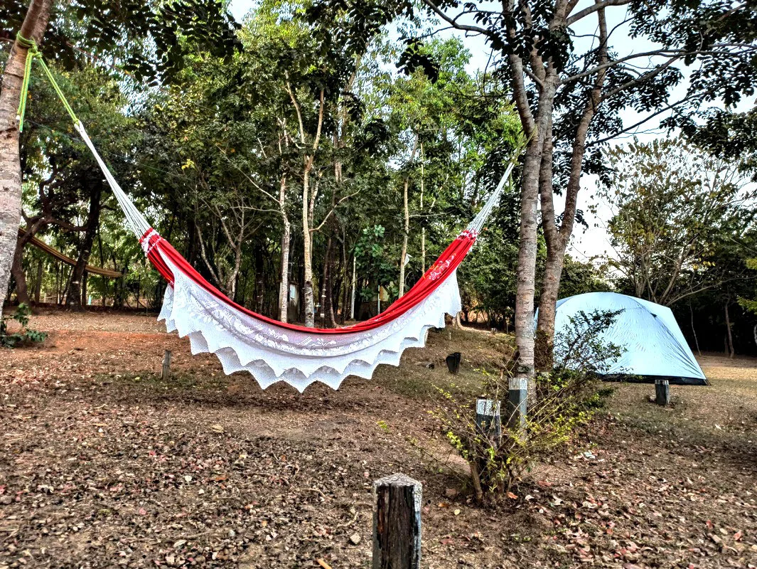 Camping